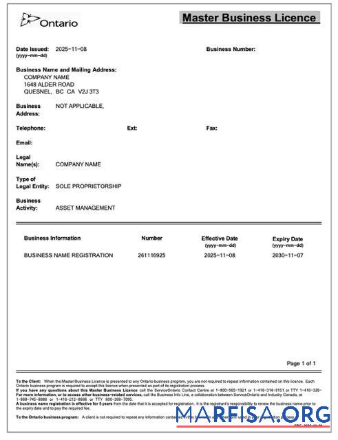 Realistic Canada Ontario master business licence Word and PDF template